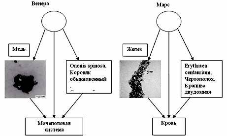 Приближение к тайне металлов