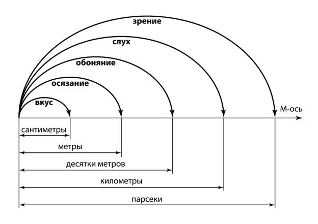 На крыльях Духа