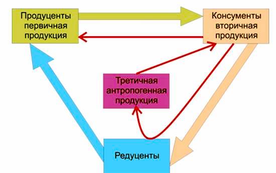 Ноосфера – разумный выход человечества из глобального экологического кризиса