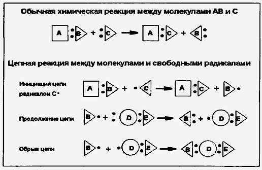 Активный кислород, организованная вода и процессы жизнедеельности