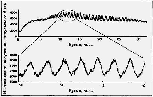 Активный кислород, организованная вода и процессы жизнедеельности