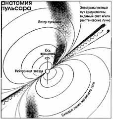 Сердце... в пульсаре